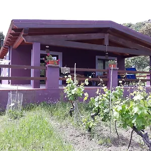 Ferienhaus Veronica, Sedini